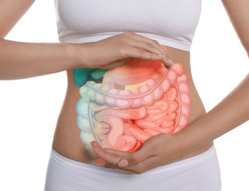 Warum der Darm Ihre Gesundheit bestimmt